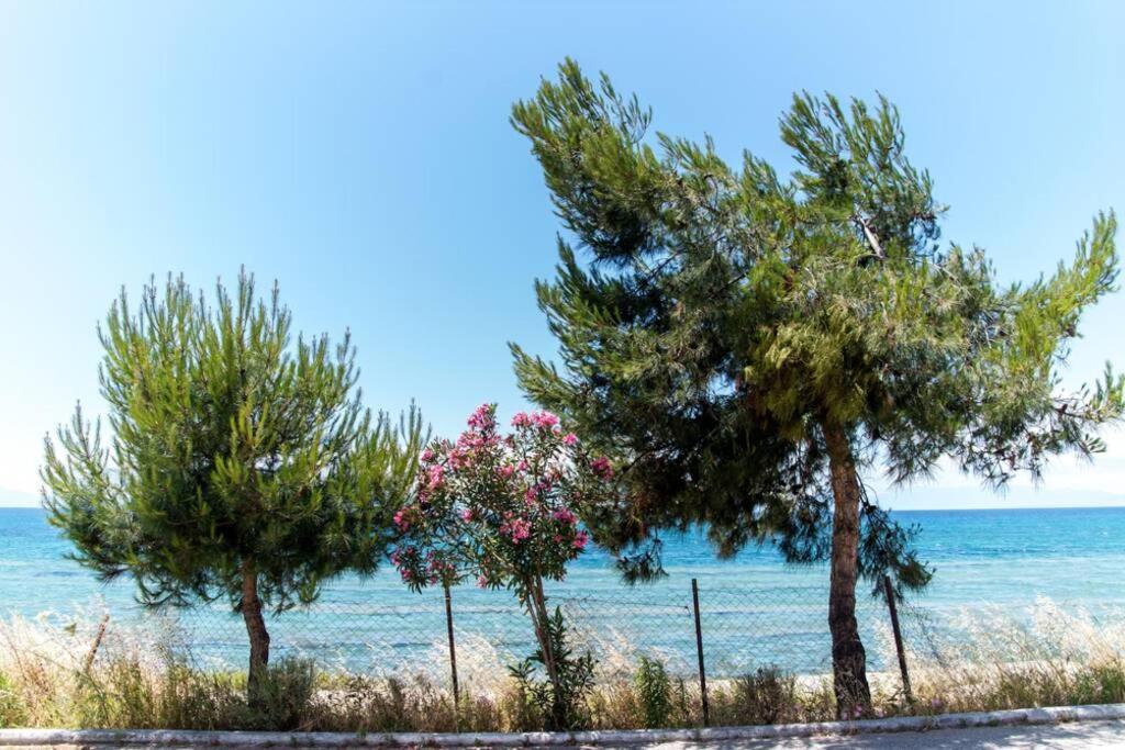 Seafront 2 Bedrooms Apartment Νέα Ηράκλεια Εξωτερικό φωτογραφία