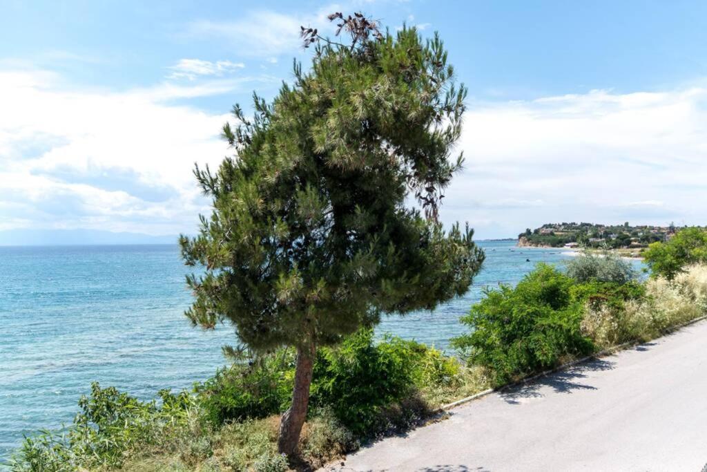 Seafront 2 Bedrooms Apartment Νέα Ηράκλεια Εξωτερικό φωτογραφία