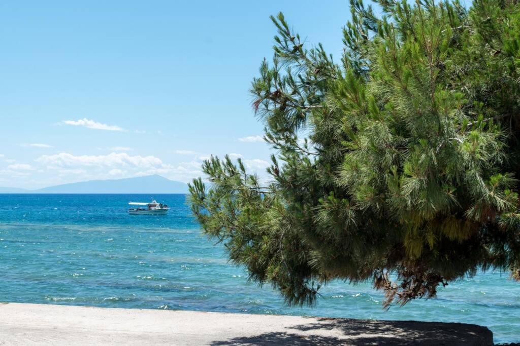 Seafront 2 Bedrooms Apartment Νέα Ηράκλεια Εξωτερικό φωτογραφία